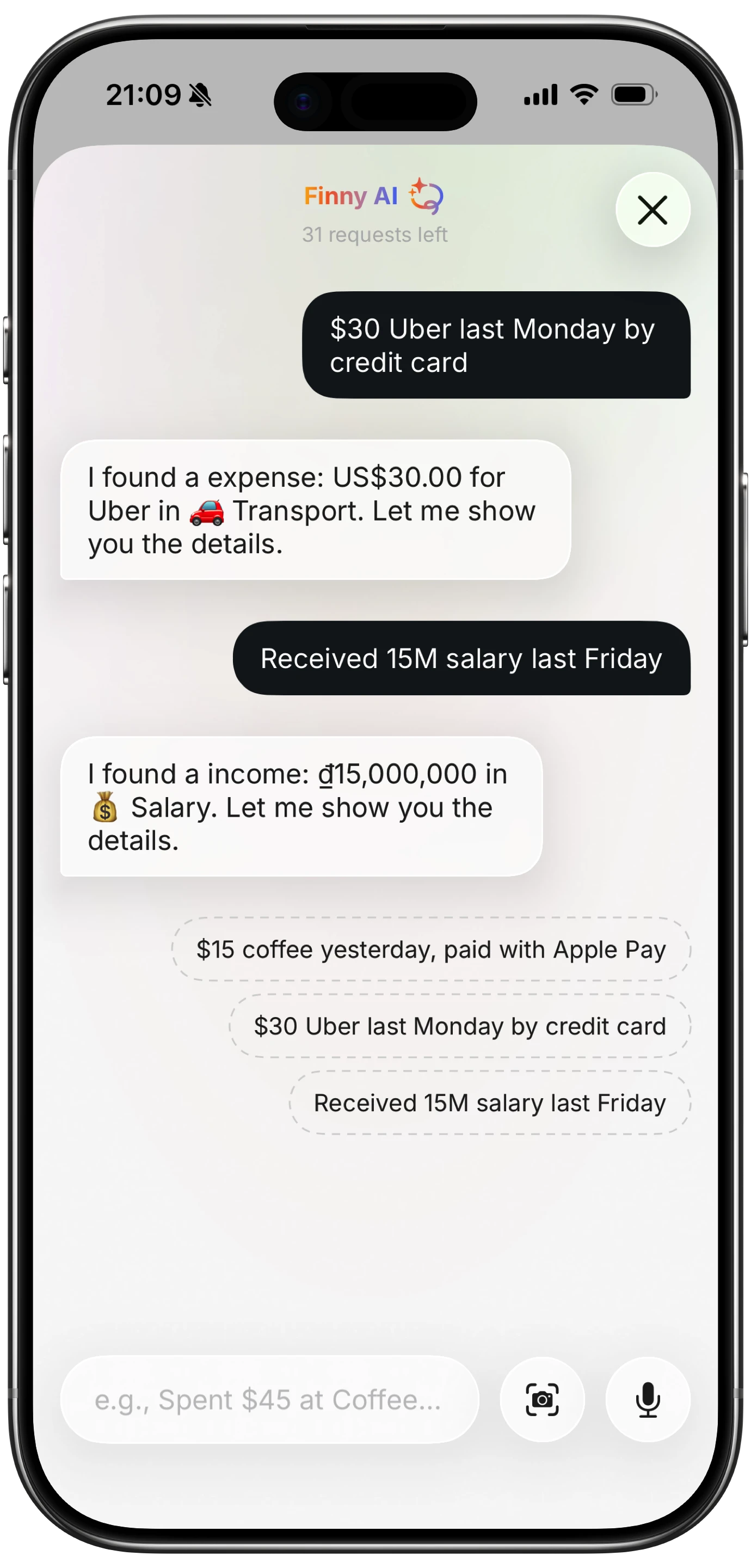 Natural language expense input