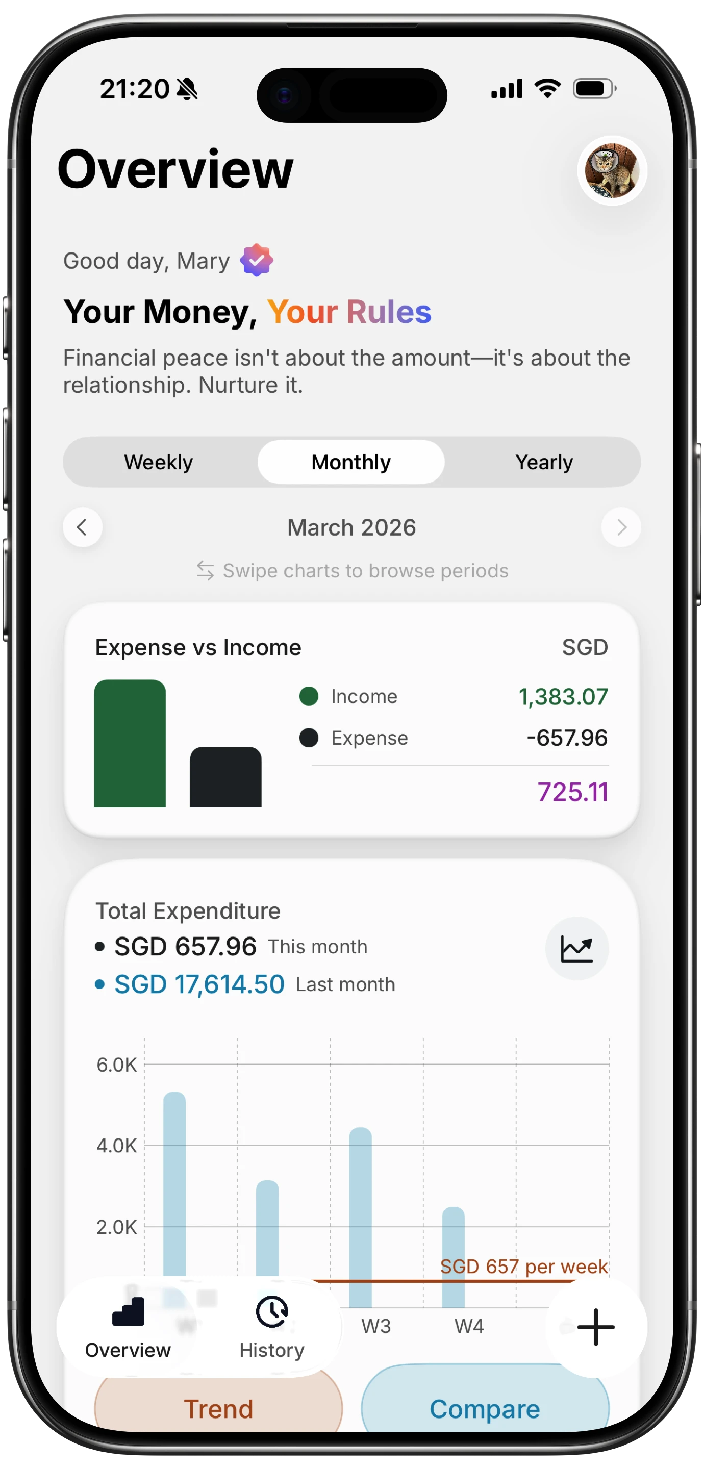 Finny expense tracker overview screen showing spending analytics and multi-currency support