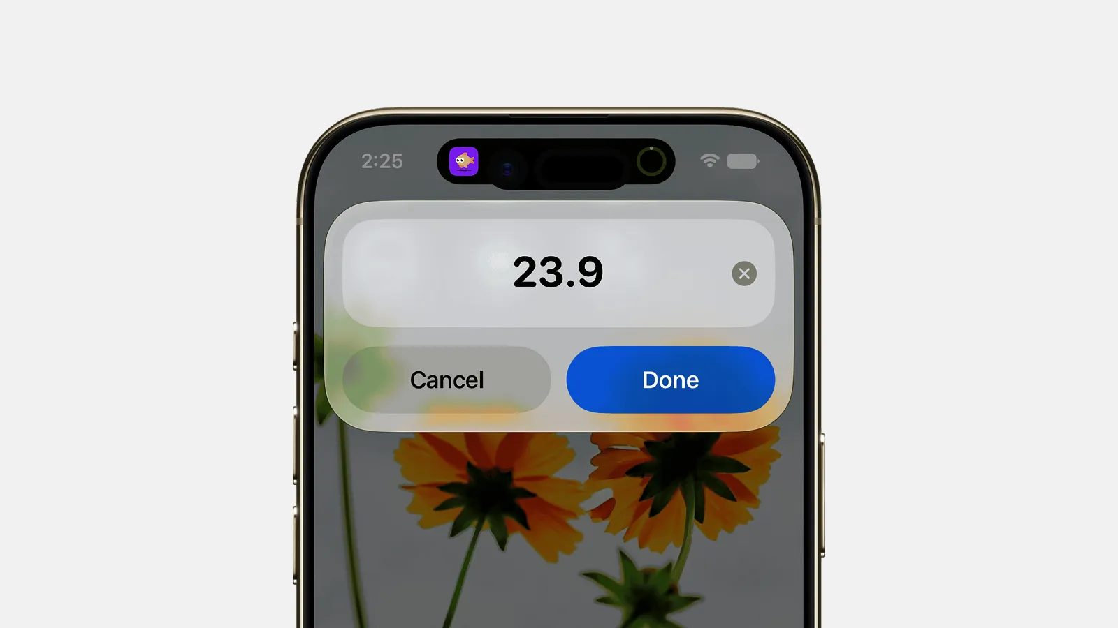 Use Back Tap to Log Expenses Instantly (iPhone 2026)